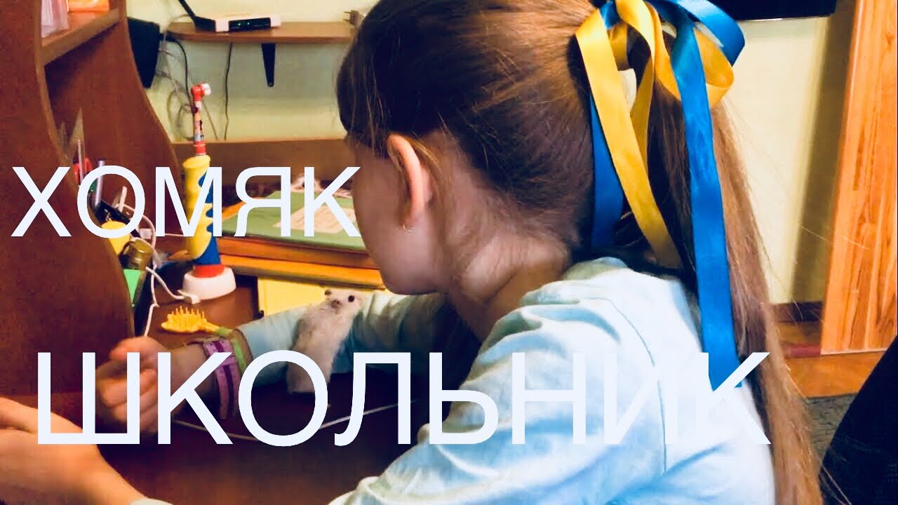 VLOG Джери помогает делать уроки