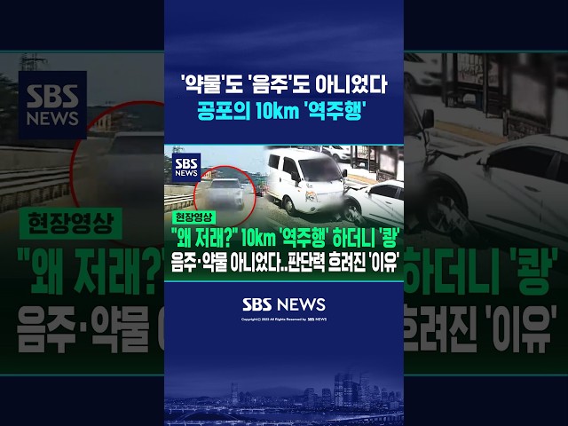 '약물'도 '음주'도 아니었다..공포의 10km '역주행' 알고 보니 #shorts