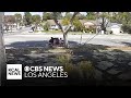 Investigation underway after robbery at Long Beach bus stop is caught on camera