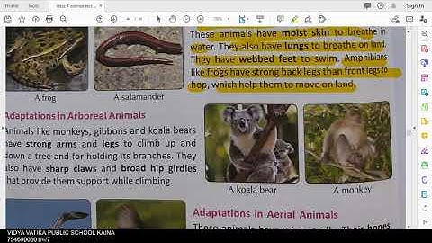 class 4 science ch 10 adaptations how animals survive part 2