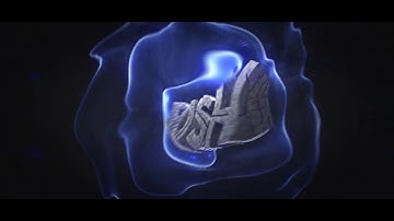 Intro | Irish ft. Braz [Good CC?]