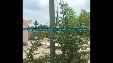 Đất thổ cư giá rẻ Xã Phước Vân huyện Cần Đước tỉnh Long An