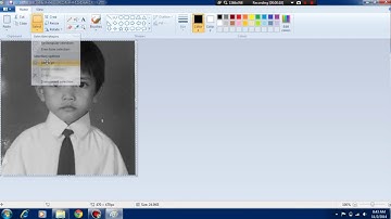 How to make a picture kinda pixel art with MS paint