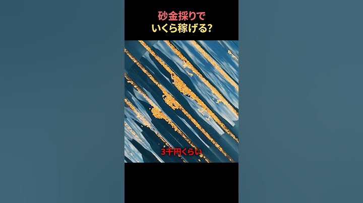 砂金採りでいくら稼げる？