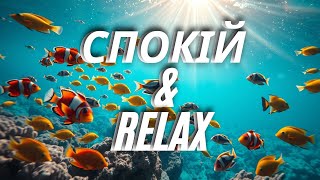 Мелодія Ночі 🌙 Спокій, Тиша та Сон | Розслабляюча музика для сну, медитації та відпочинку 24/7