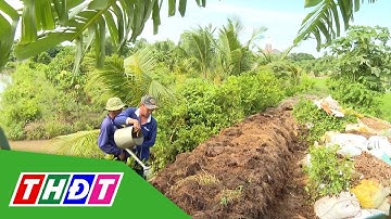 Tận dụng rơm rạ sau thu hoạch | THDT