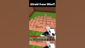 Minecraft Grox Villager