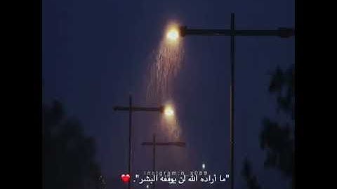 القرآن الكريم. بصوت عبد الرحمن مسعد 🧡🍁