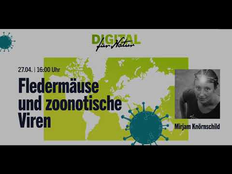 Video: Gängige Brotfruchtsorten: Verschiedene Arten von Brotfruchtbäumen