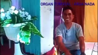 putus cinta || cover irfan bima || organ tunggal arga naga