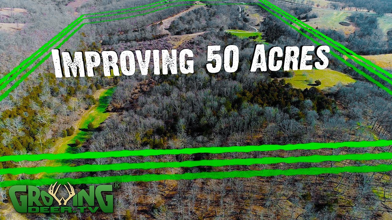 How Big Is 50 Acres Of Land