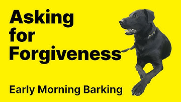 BPD, NPD, and Asking for Forgiveness | BPD & NPD | Borderline & Narcissistic Personality Disorder