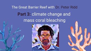 Dr. Peter Ridd & The Great Barrier Reef: climate change and mass coral bleaching (part 3)