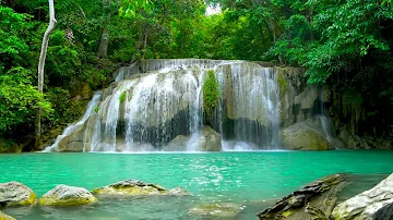 Calming Forest Tropical Waterfalls. Relaxing Nature Sounds, Waterfall 4k. White Noise for Sleeping.