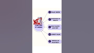 Symptoms of Anemia #video #viral