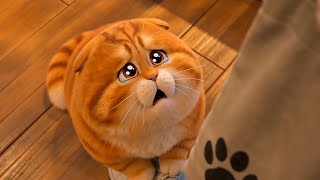 Funny Cats Jealous Fight! 🐱🐾 Kucing Lucu Cemburu Berantem! #animation