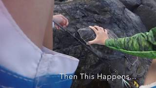 Luckiest Flounder Catch | Barnegat Inlet
