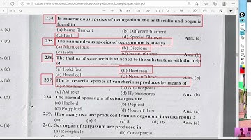 The terresterial species of vaucheria reproduces by means of