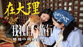 【云南Vlog 】没做攻略，我在大理古城和陌生人成为朋友！共同旅行！