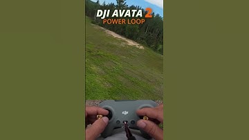 🫐DJI AVATA 2 Power loop🫐 BLUEBERRY FARM 🫐#djiavata2 #fpv #drone