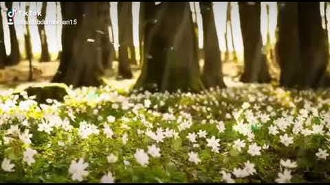 أجمل تلاوة سورة الناس