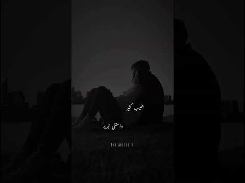 لسه بتقول يعني معقول حالات بيغ سام ستوريات ريلز اكسبلور 