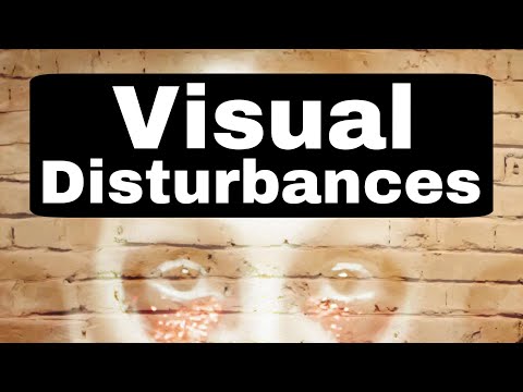 Simulation: Every category of my brain injury visual disturbances