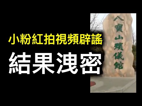 人民日报不忍了！小粉红殡仪馆拍视频辟谣“空空荡荡、随来随烧”结果泄密……