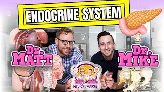 Endocrine System | Overview