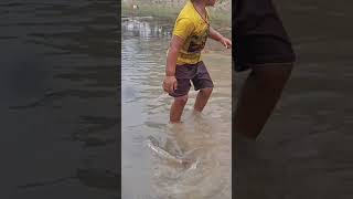 Amazing Boy Catching Fish By Hand #fishing