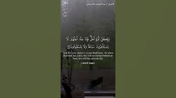 القارئ الشيخ عبد الرحمن السديس