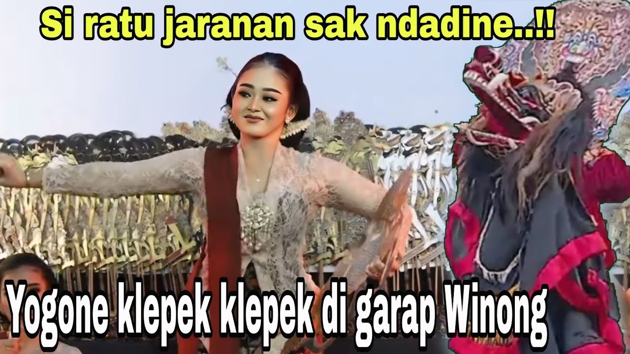 Nyawang goyangane winong yogone klepek klepek nganti ora fokus nabuh, Winong ndadi. Ki Cahyo Kuntadi