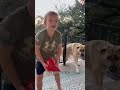 Dog loves balls #funny #dog