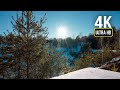 4K Walk in the Spring Forest. Relaxing Walk, Forest and Nature Sounds for Sleep and Study