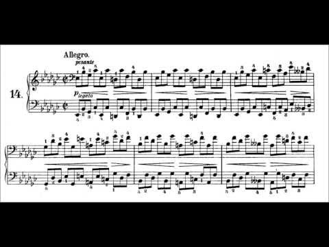 Chopin: Prelude Op.28 No.14 in E flat Minor, Allegro (Pogorelich)