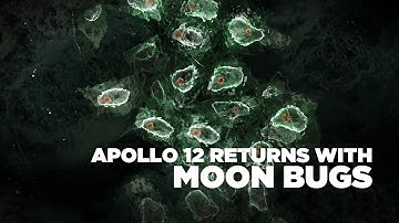 Did Astronauts Bring Moon Bugs Back To Earth? | NASA