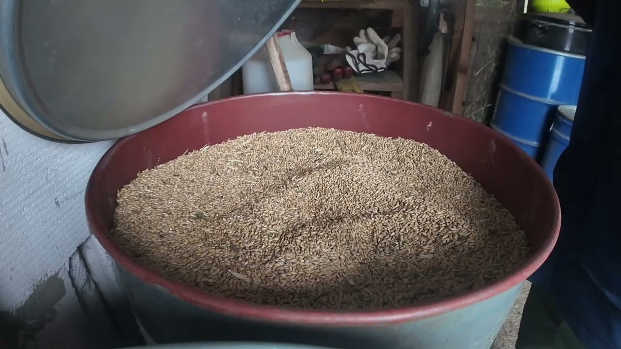 Ranní krmení | něco jako vlog 2