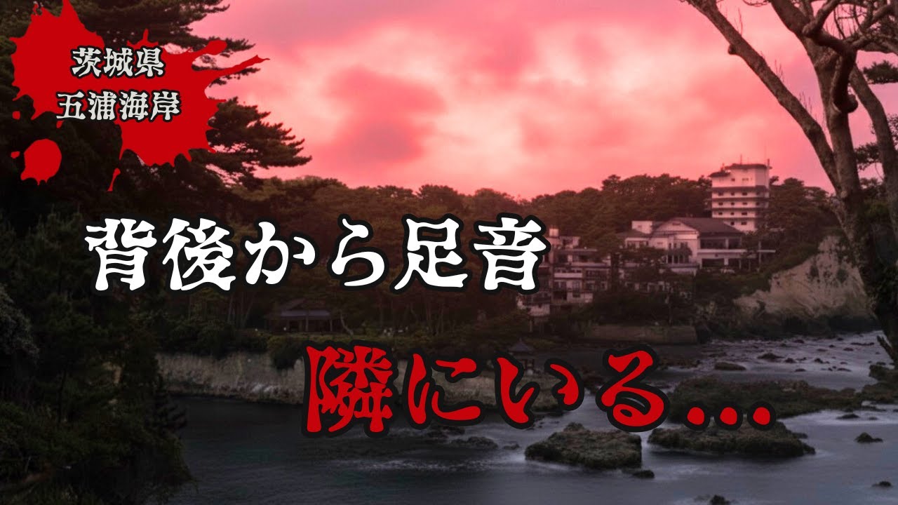 【茨城県】五浦海岸、何かが追いかけてきてる！？