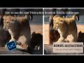 How to Use the Reflection Removal Tool in Lightroom Classic | Fix Glare &amp; Shine Fast #lightroom