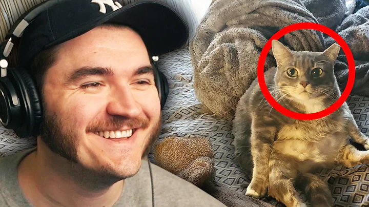 Ranking Your UNHINGED Bedrooms