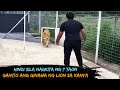 7 taon Hindi nakita ng Lion ang kanyang amo | Ikakagulat mo ang nangyari