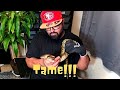 How To Tame and Hold a Aggressive Snake !!! ( Reticulated Python , Boa ,  Burmese , Ball Python)