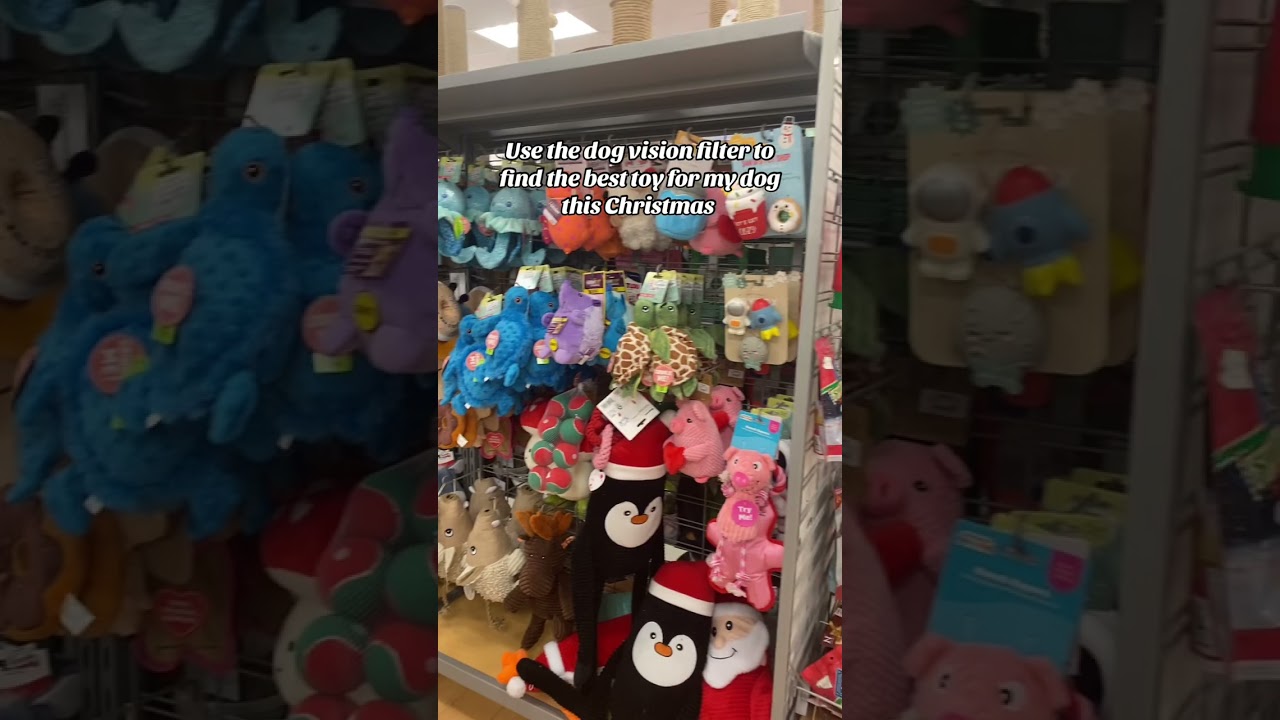 Find the best xmas gift