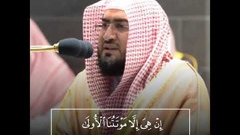 إن هي إلا موتتنا الأولى | تلاوة جميلة للشيخ د. بندر بليلة ~ من سورة الدخان - 1442هـ