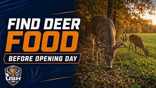 How to Find Deer Feeding Areas Before Opening Day