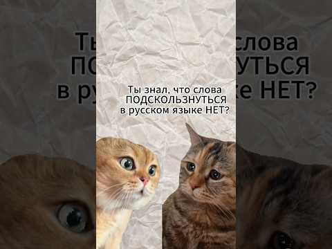 Можно ли сказать поДскользнуться?Написать так??смотри ролик с котиками #русскийязык #учимрусскийязык