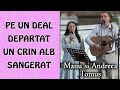 Manu si Andreea Tomus - Pe un deal departat un Crin alb sangerat | muzica crestina