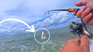 Crazy Fishing Day by Pro! You All Must See This!