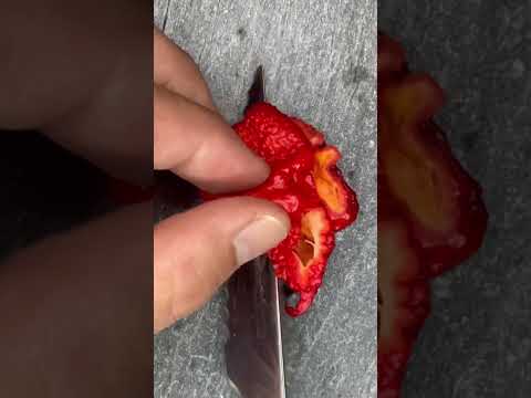 Video: ¿Puedes cultivar carolina reapers en el Reino Unido?