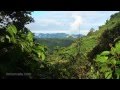 Ecuador: el bosque nublado. Mindo Nambillo